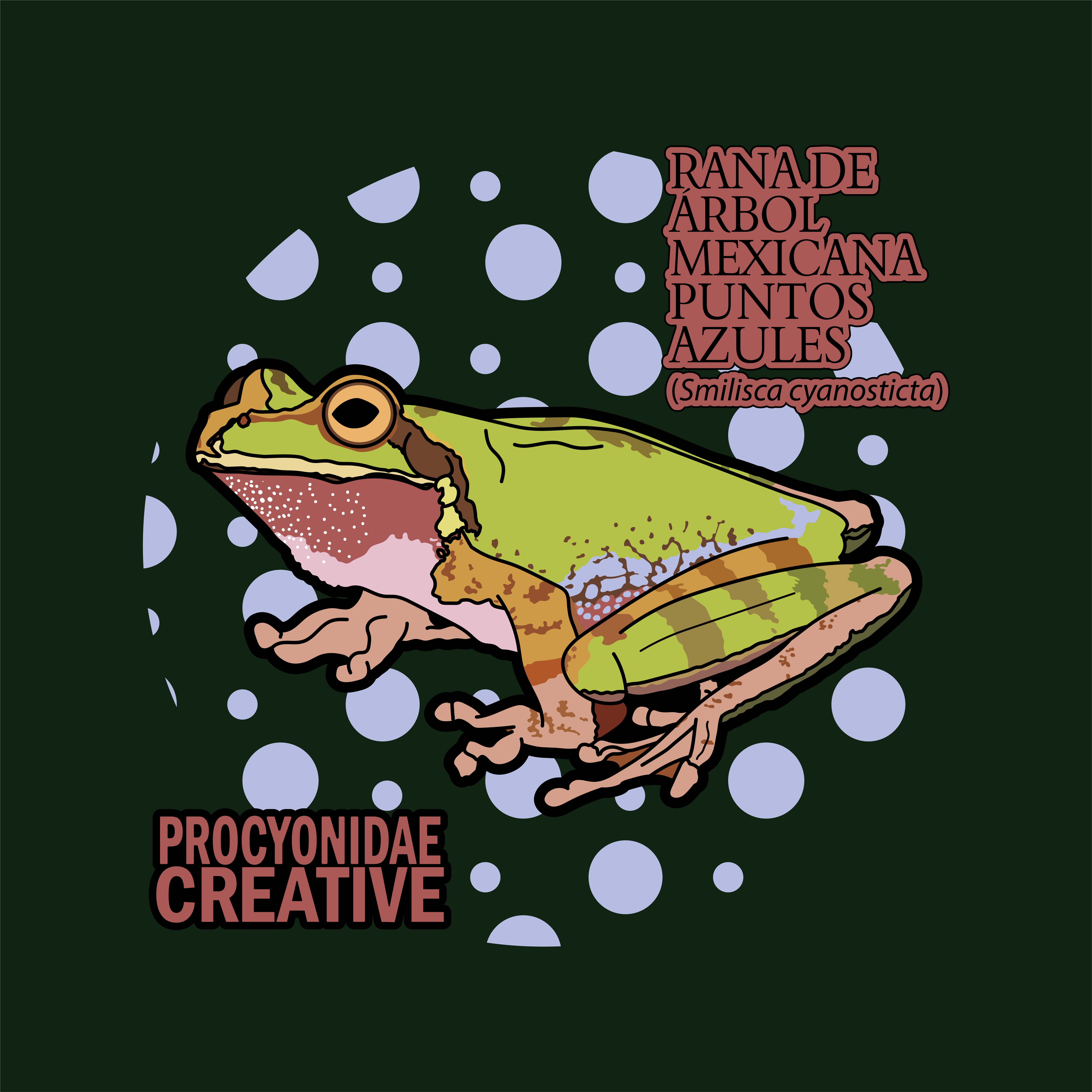 Rana de Arbol Mexicana de Puntos Azules