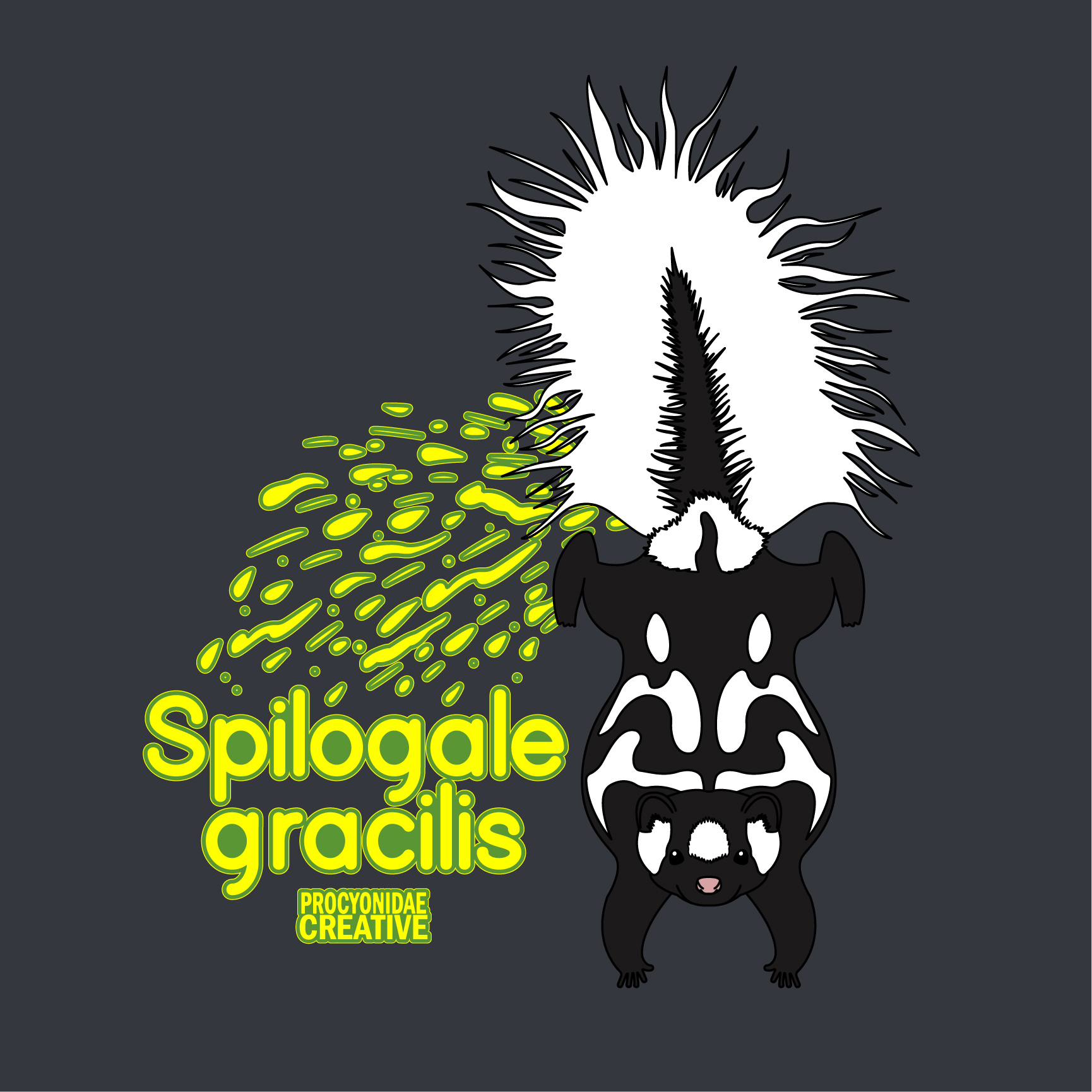 Spilogale gracilis