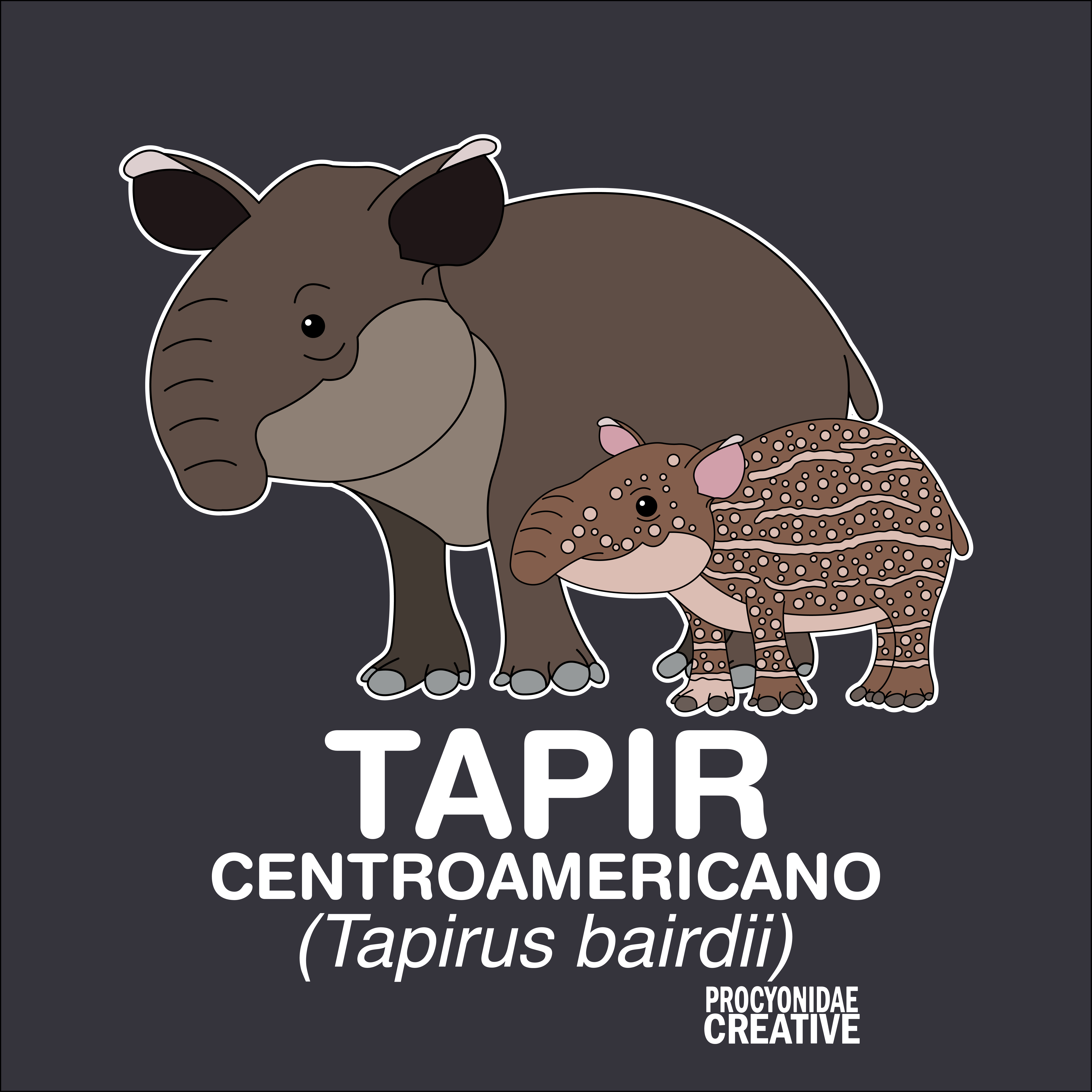 Tapir Centroamericano (Tapirus bairdii)