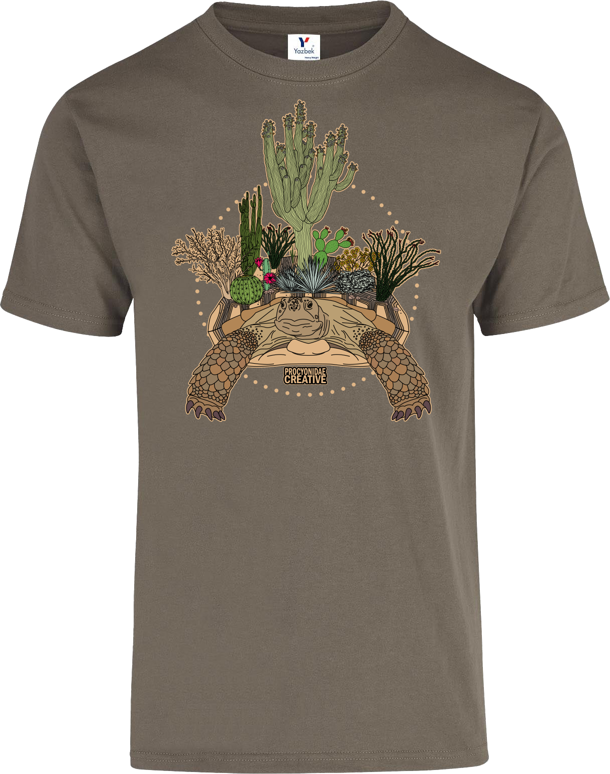 Tortuga del Desierto