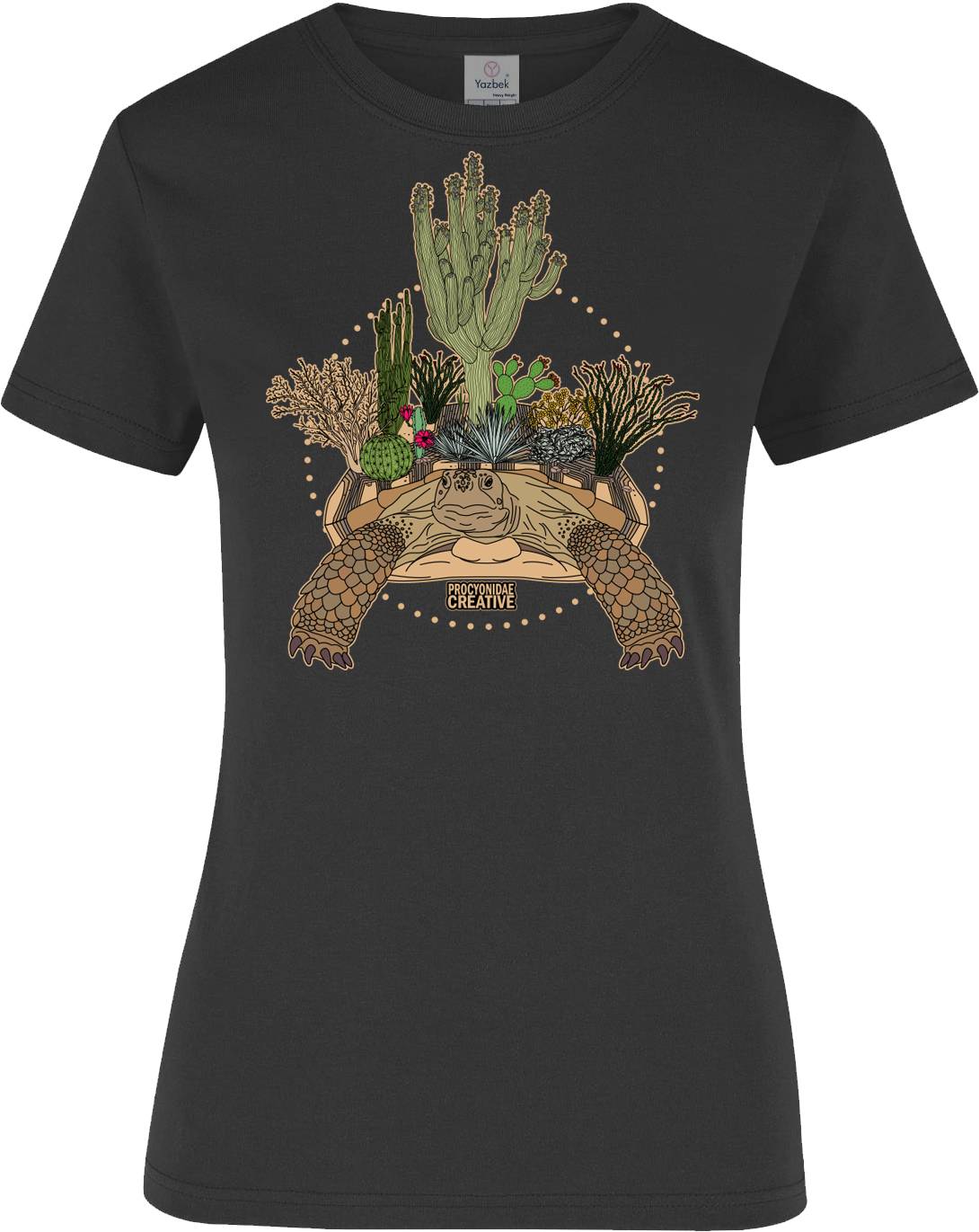 Tortuga del Desierto