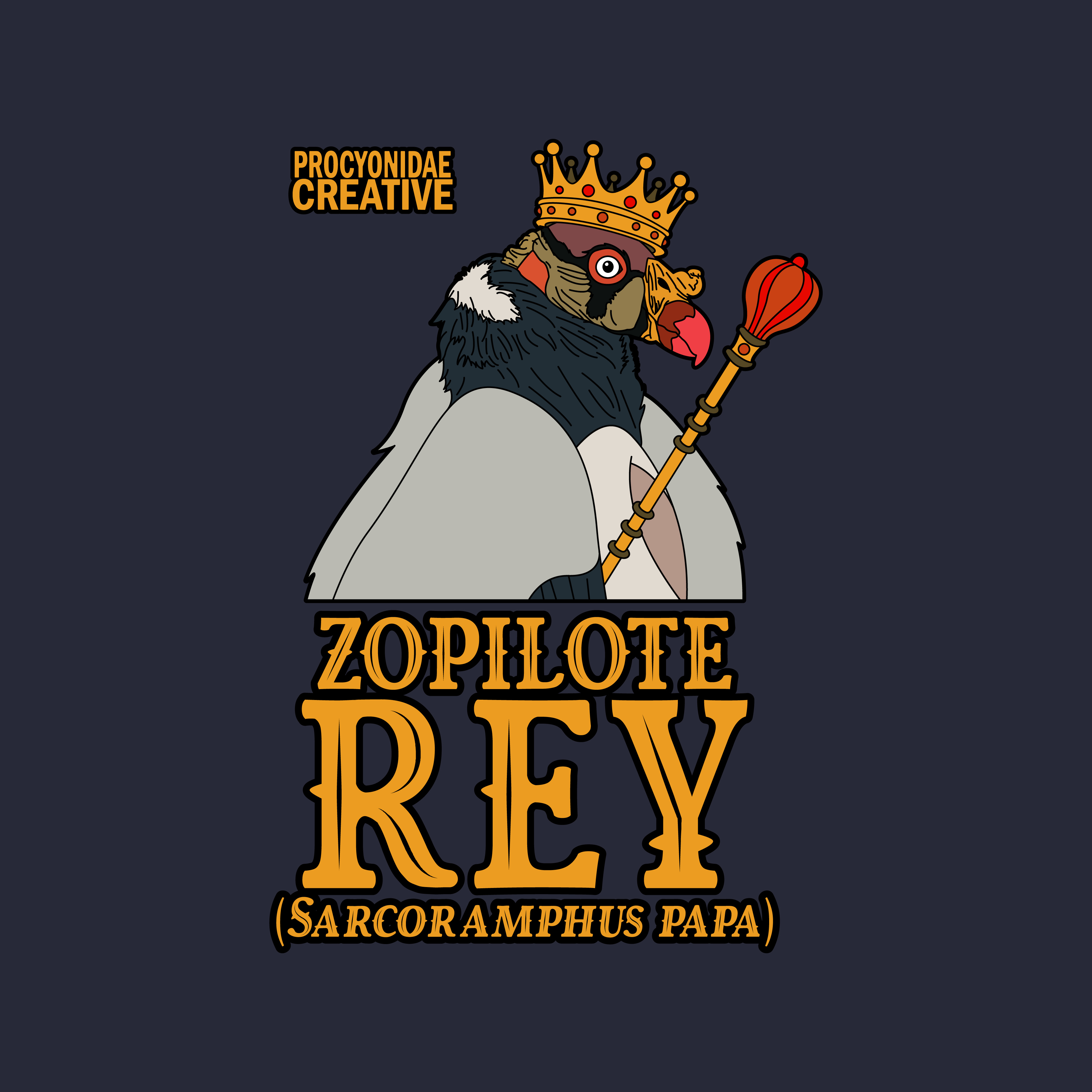 Zopilote Rey