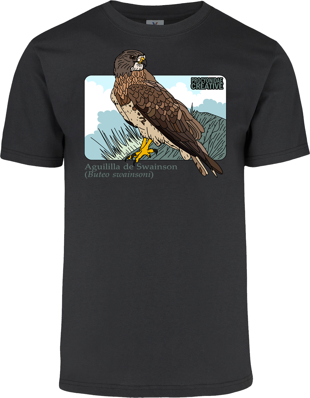 Aguililla de Swainson