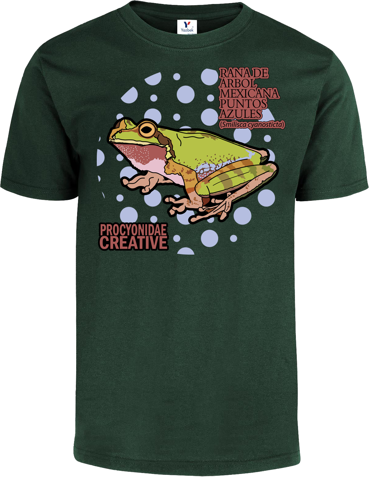 Rana de Arbol Mexicana de Puntos Azules