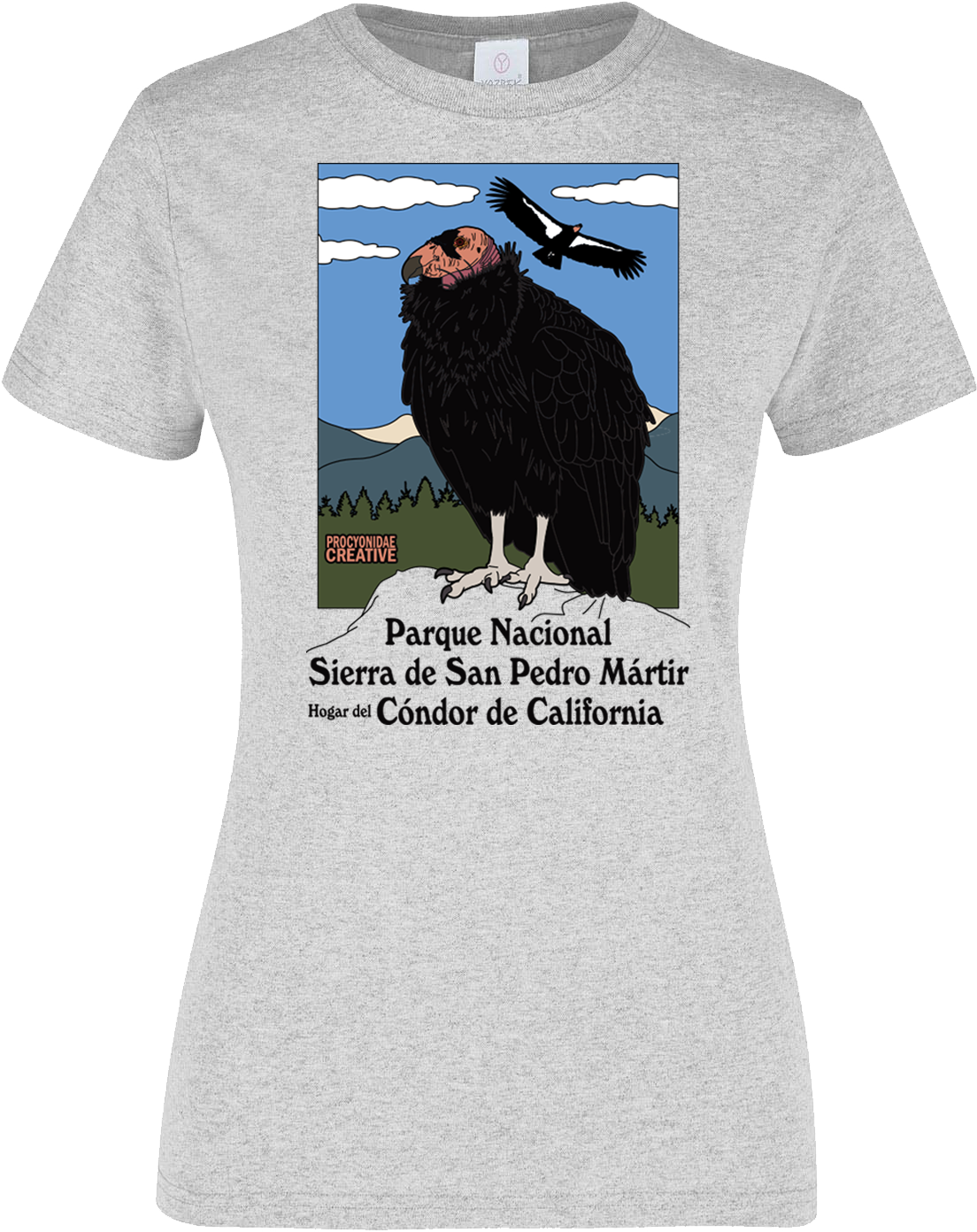 Condor de California