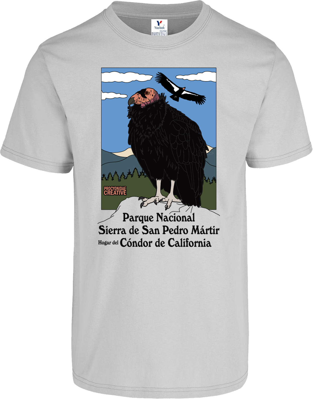 Condor de California