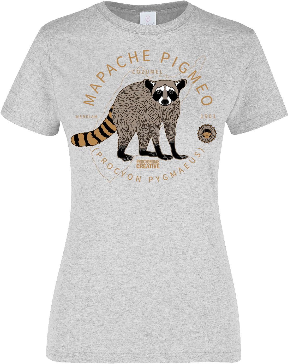 México Endémico: Mapache Pigmeo