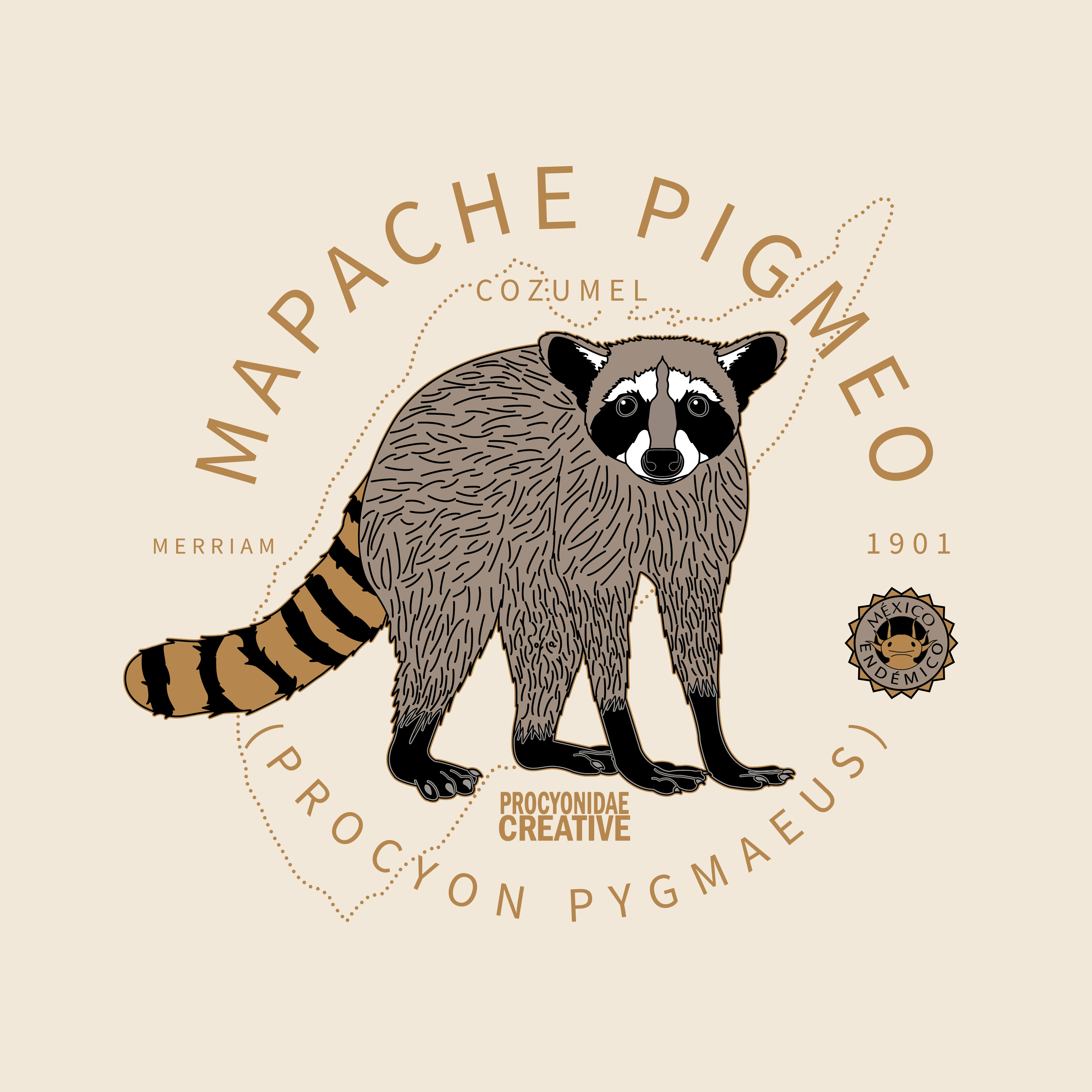 México Endémico: Mapache Pigmeo
