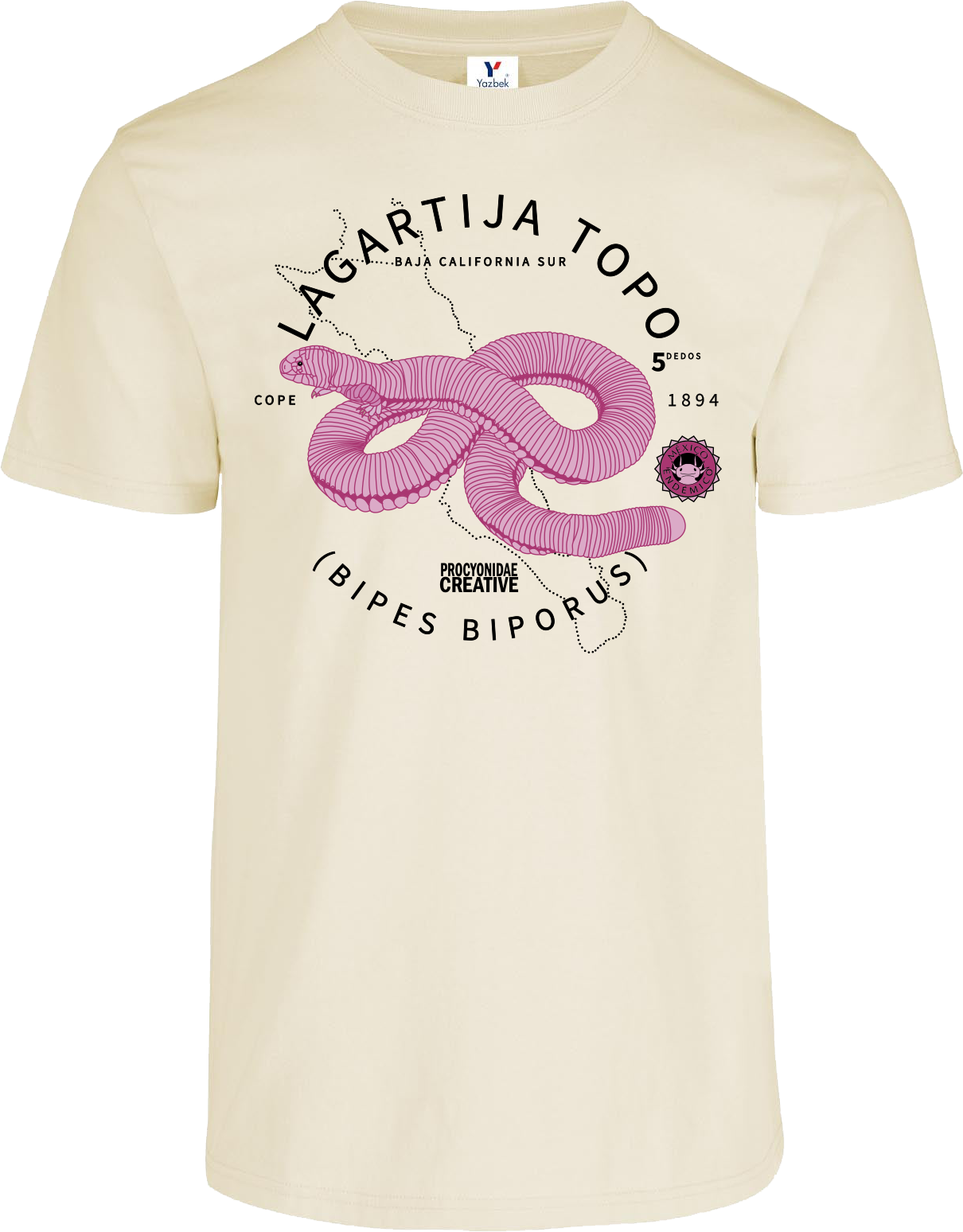 México Endémico: Lagartija Topo de Cinco Dedos