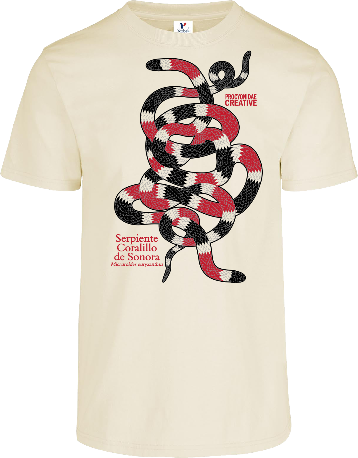 Serpiente Coralillo de Sonora