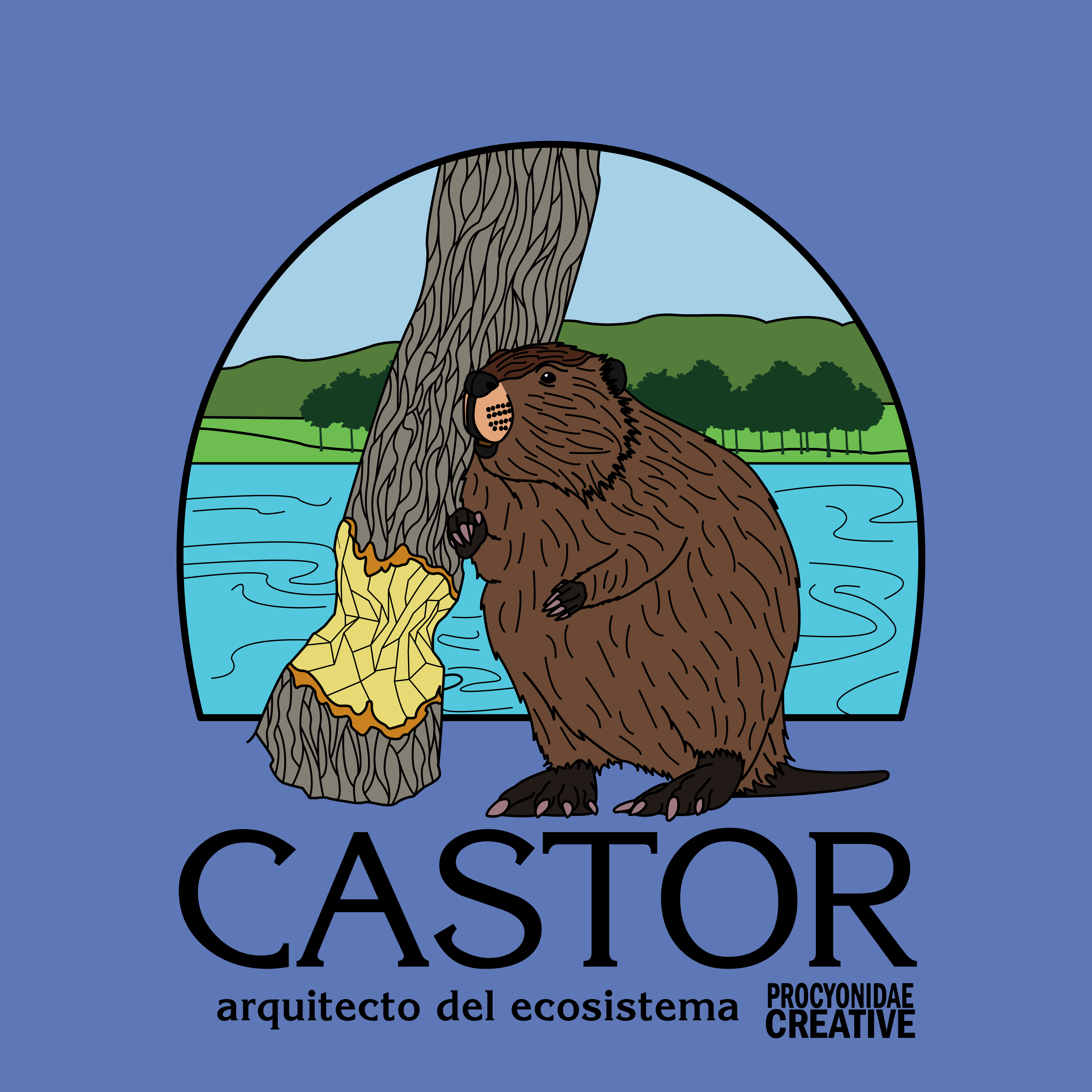 Castor