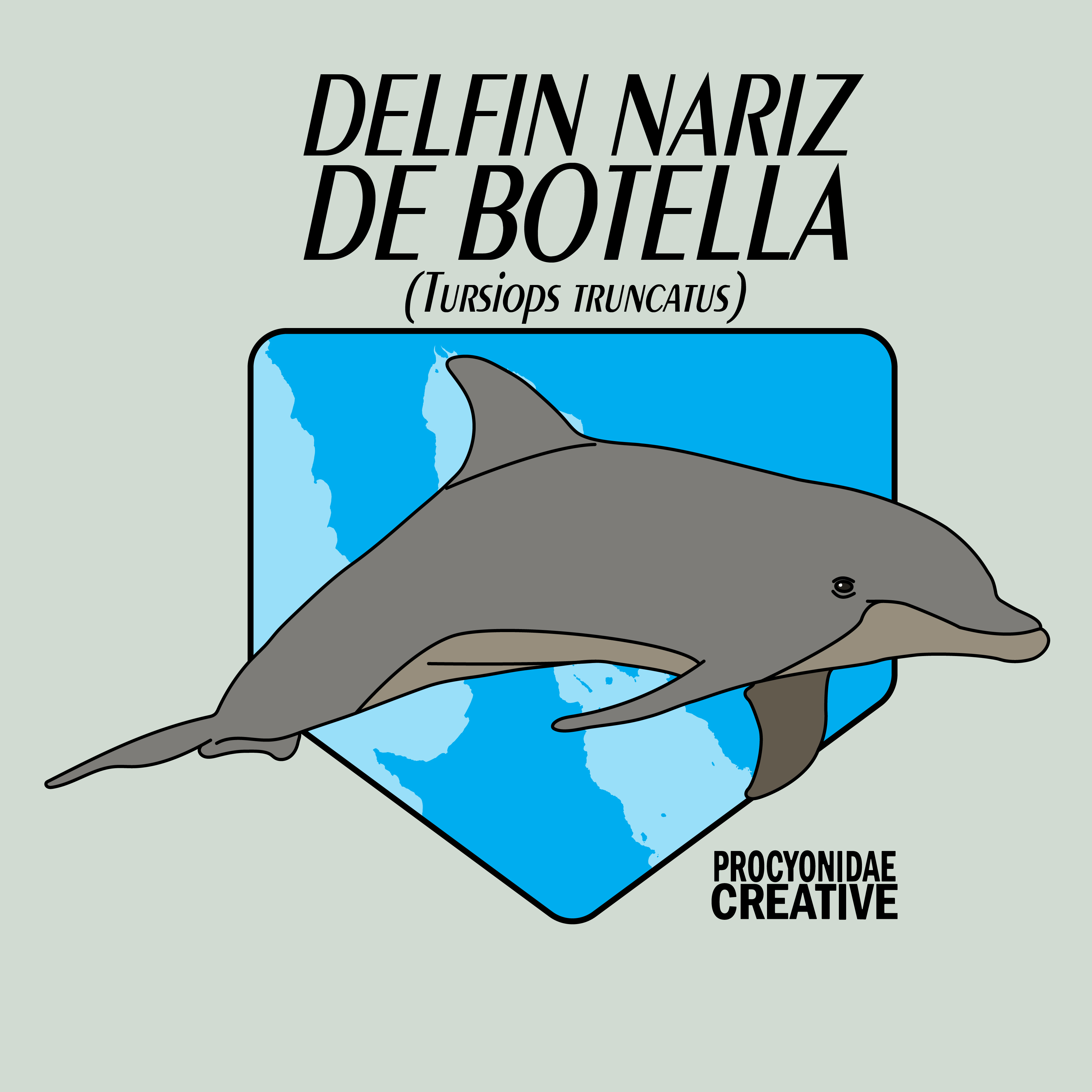 Delfin Nariz de Botella