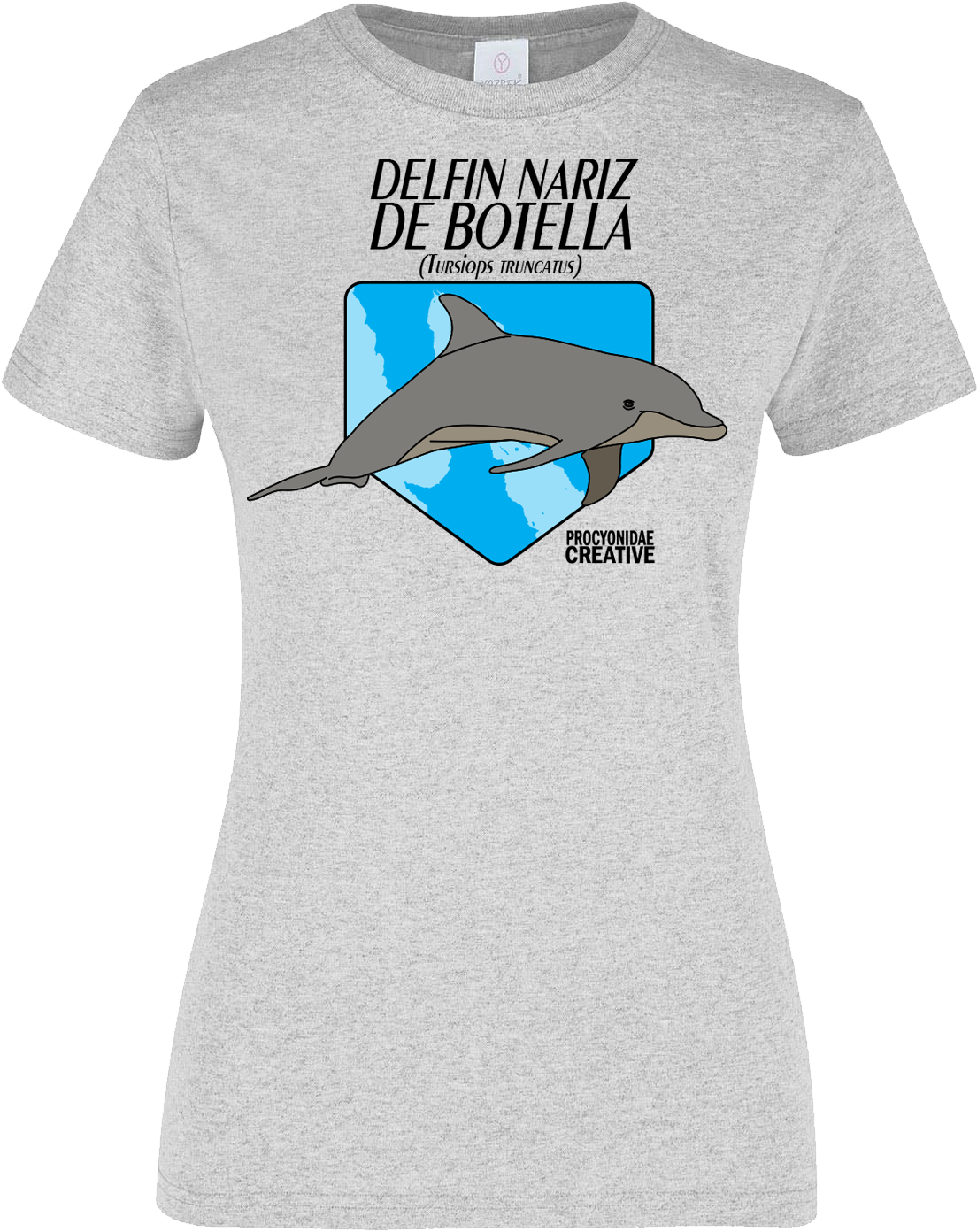 Delfin Nariz de Botella