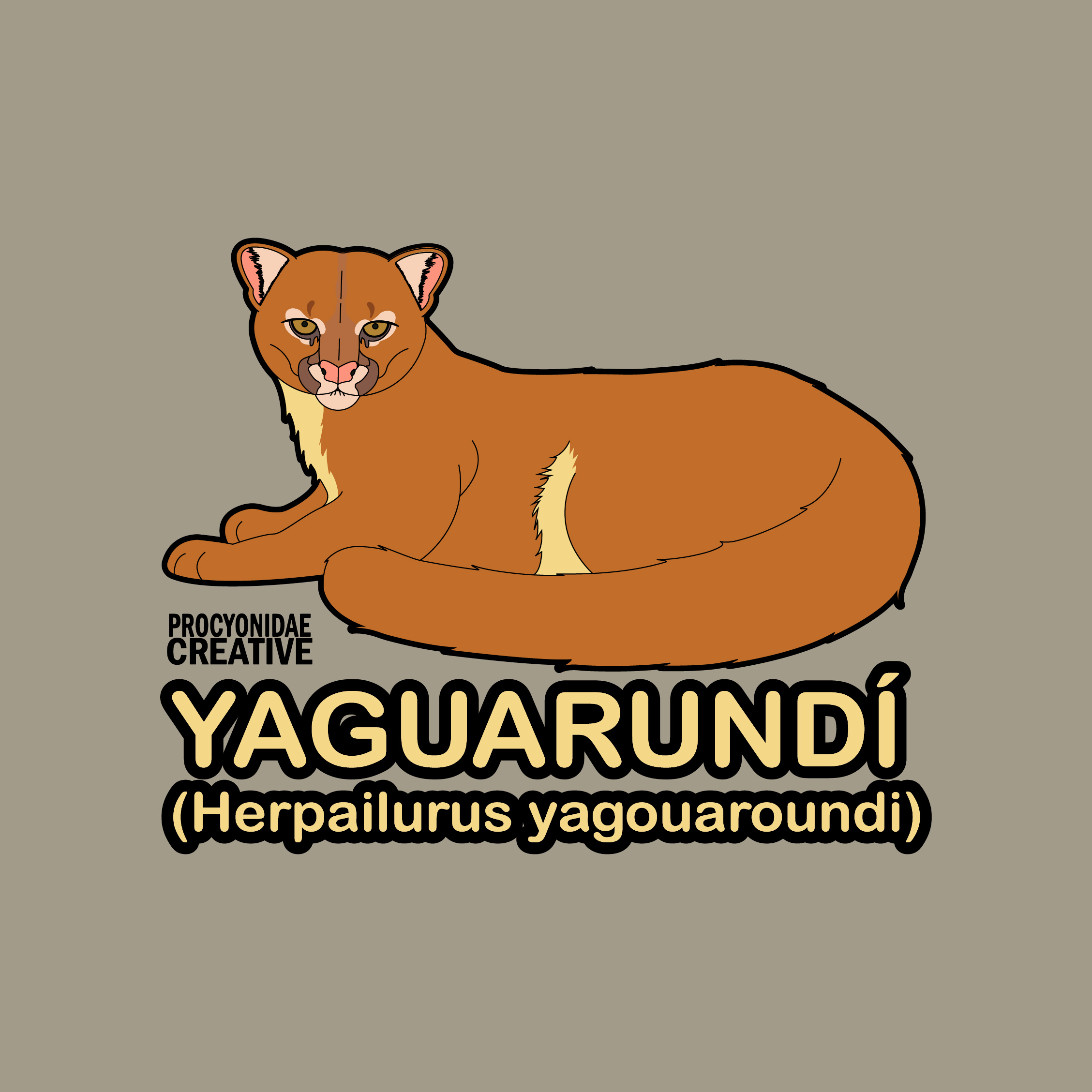 Yaguarundi