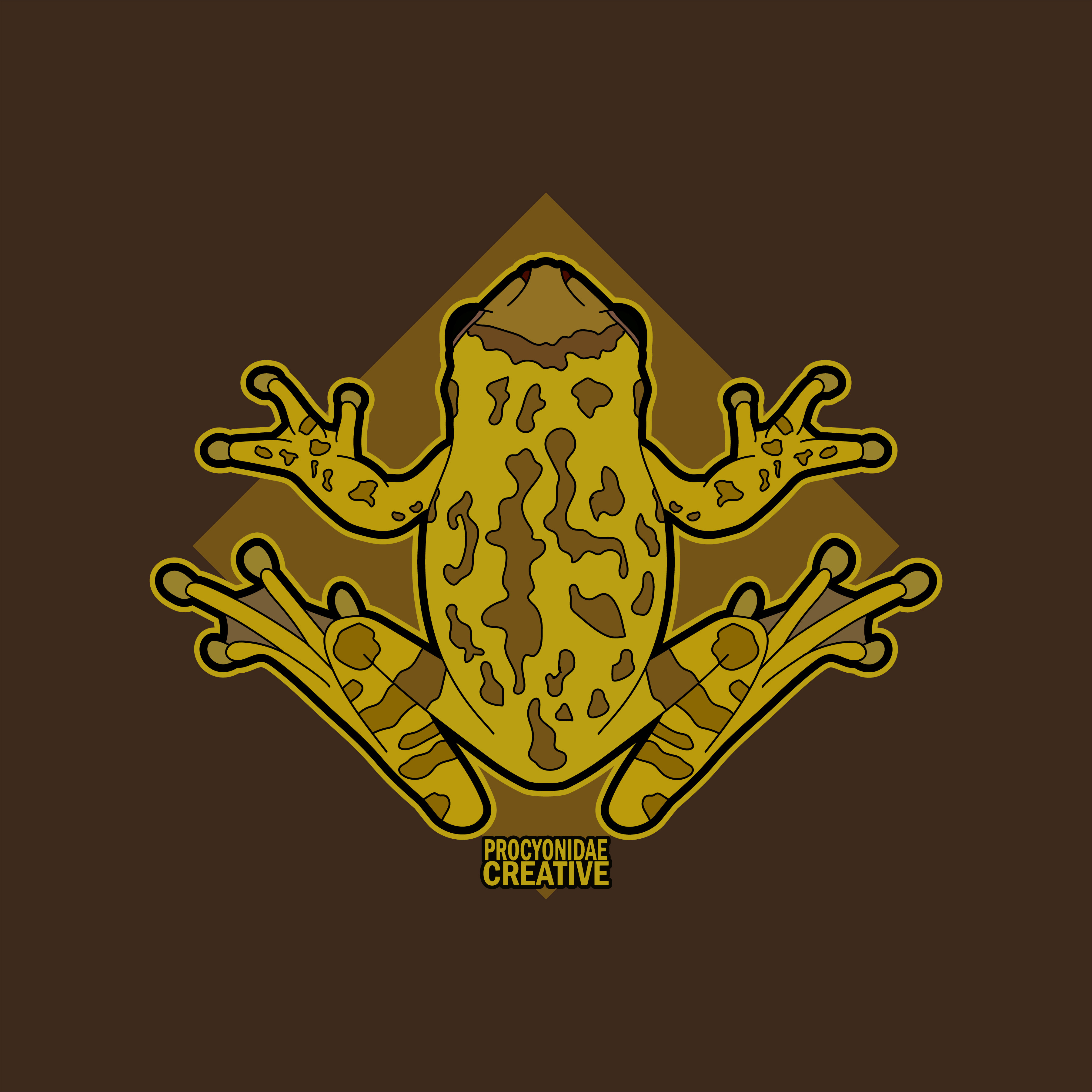 Rana Arborícola Mexicana