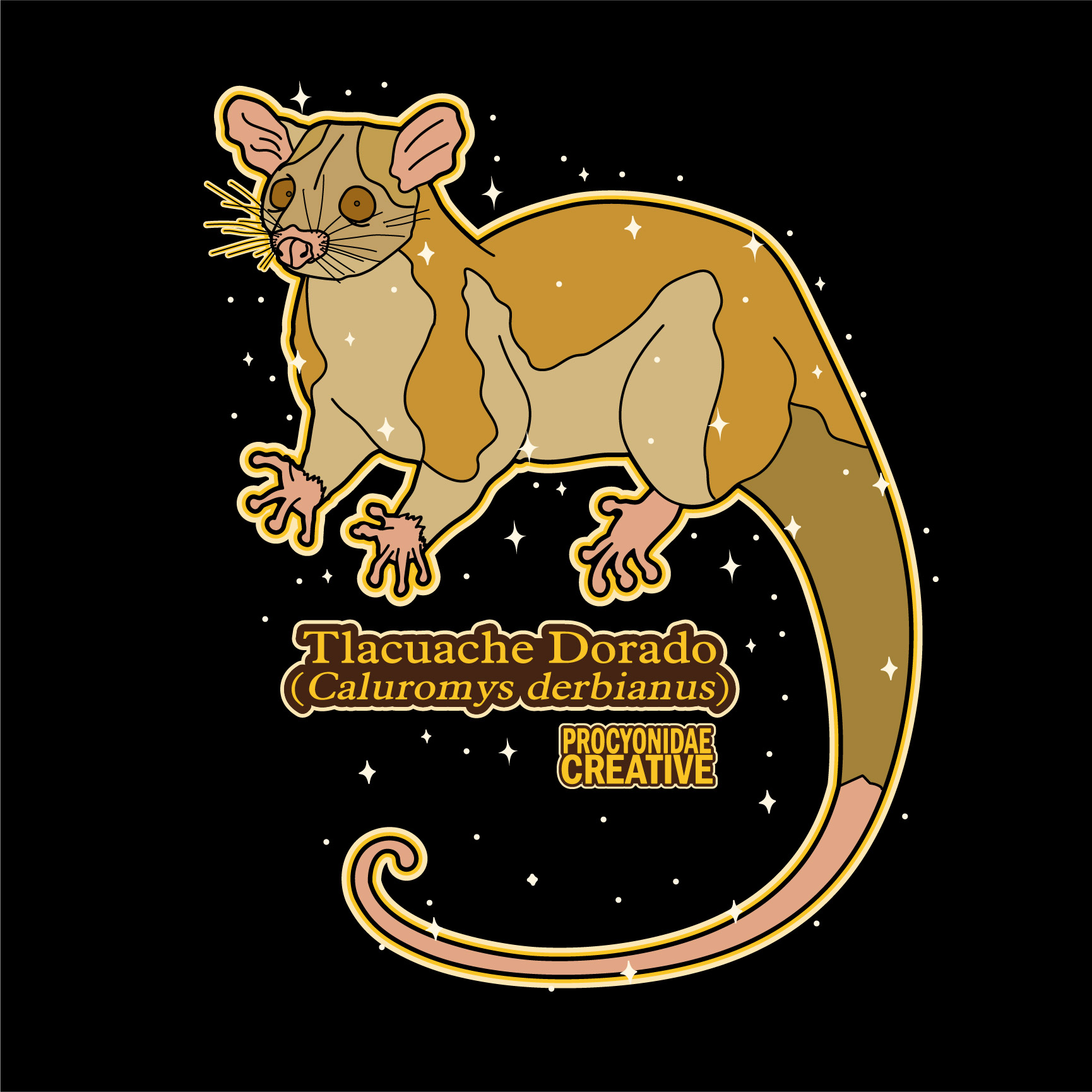 Tlacuache Dorado