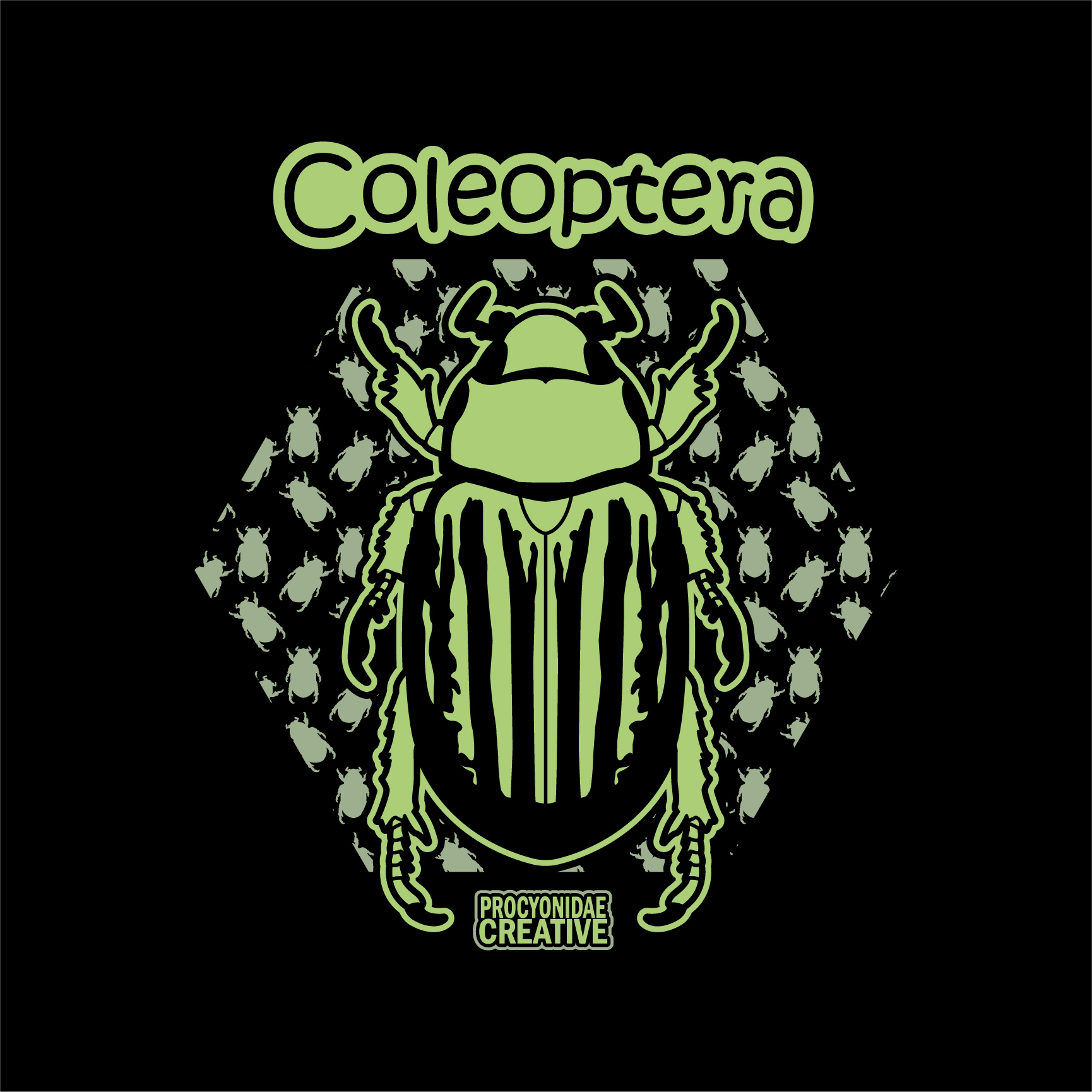 Coleoptera