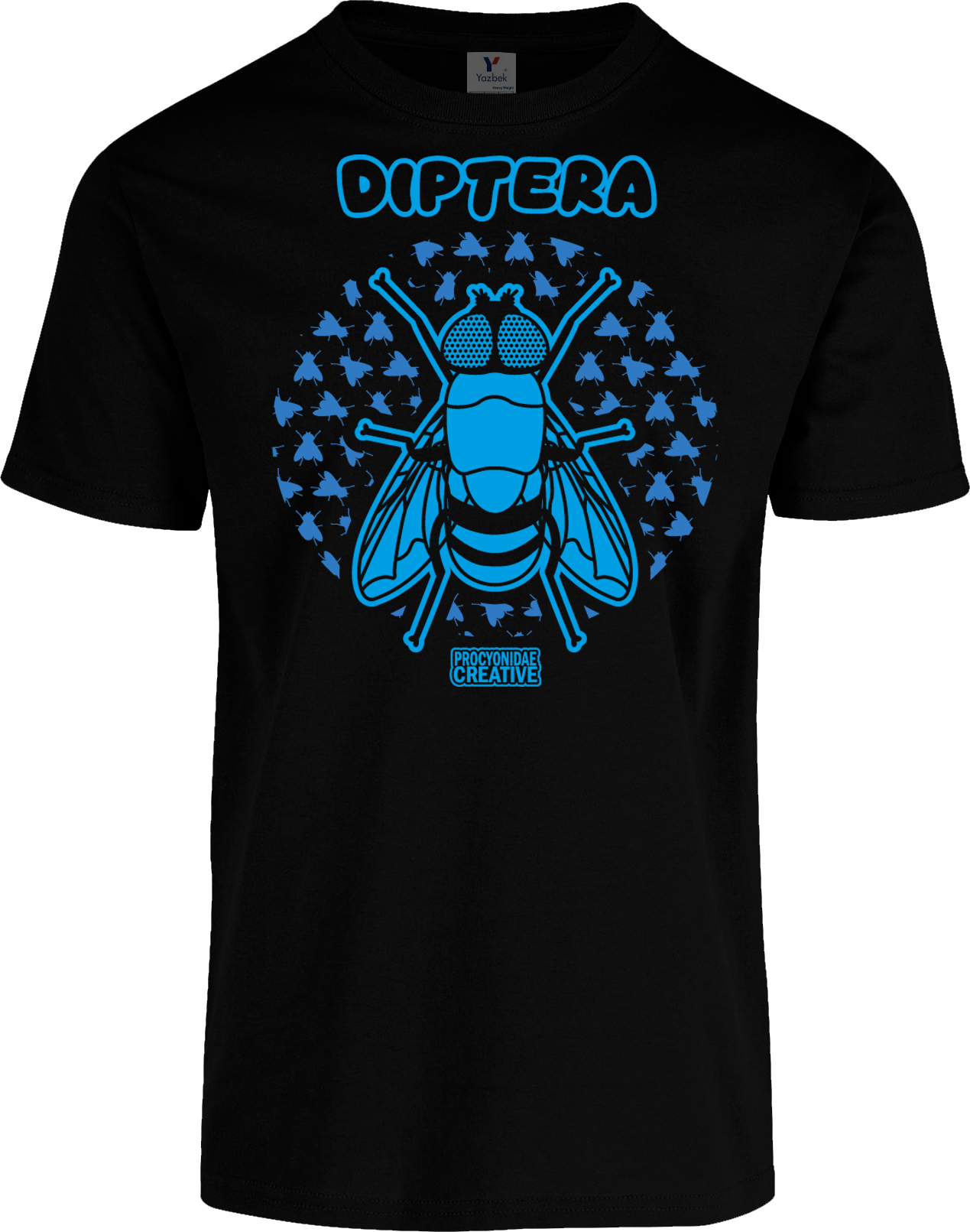 Diptera