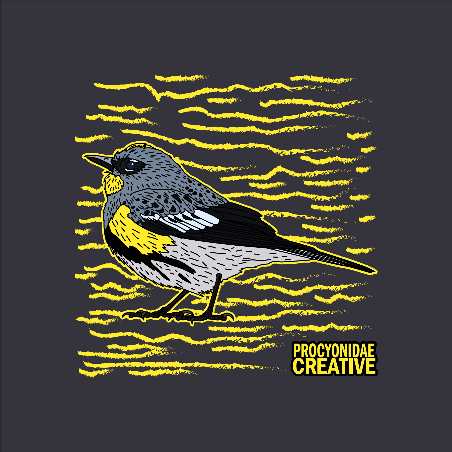 Chipe Rabadilla Amarilla 