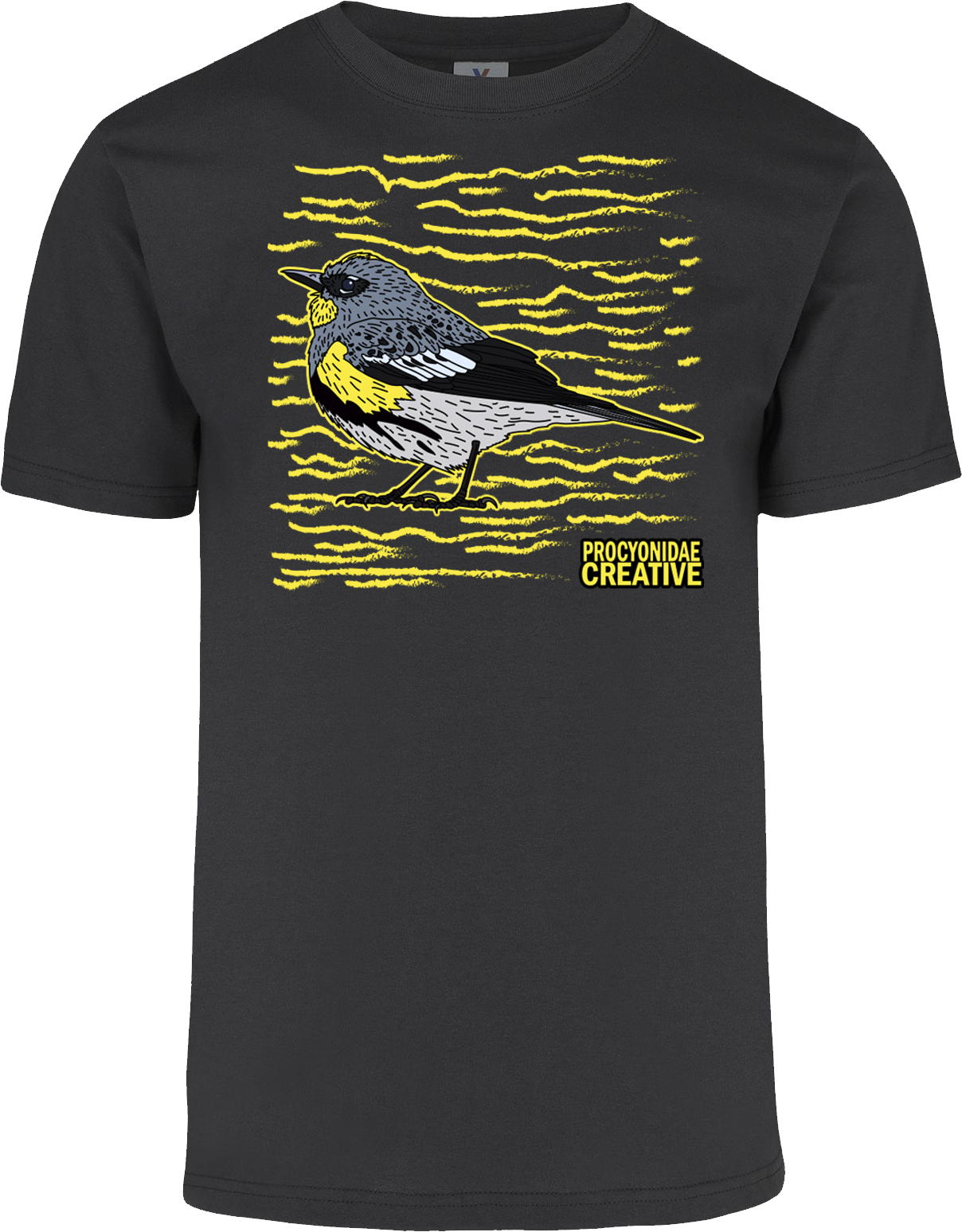 Chipe Rabadilla Amarilla 