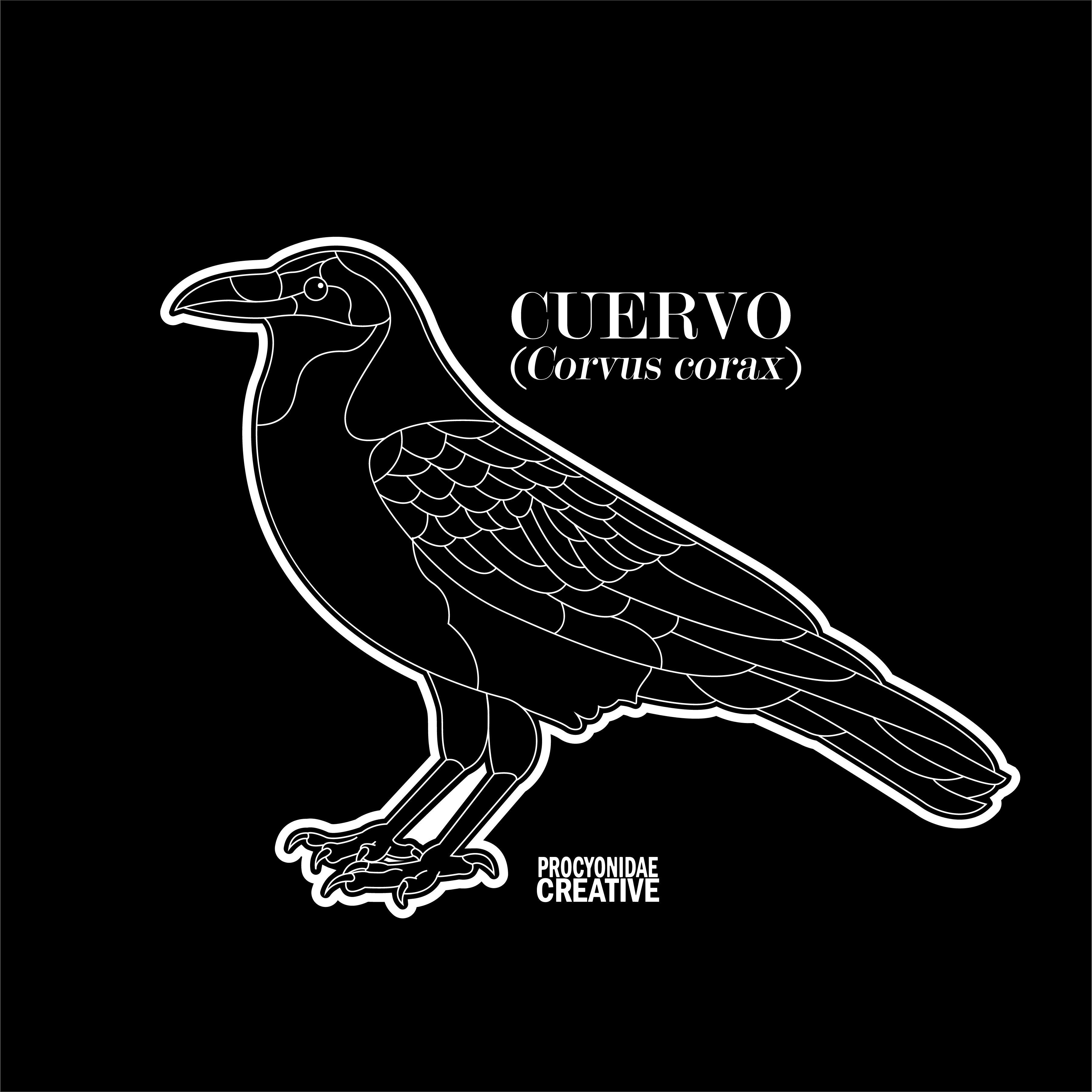Cuervo