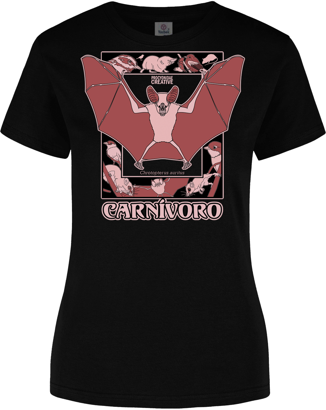 Carnívoro: Chrotopterus auritus