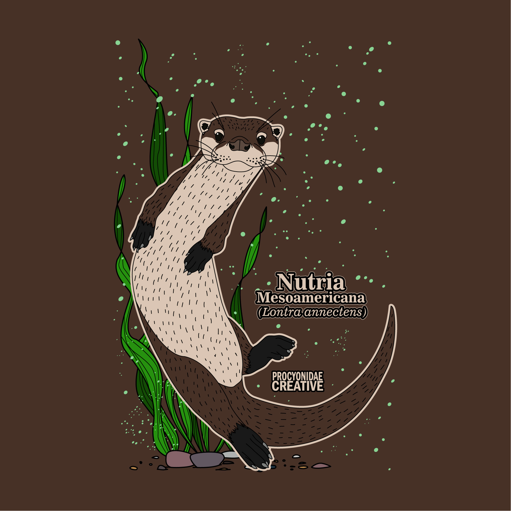 Nutria Mesoamericana