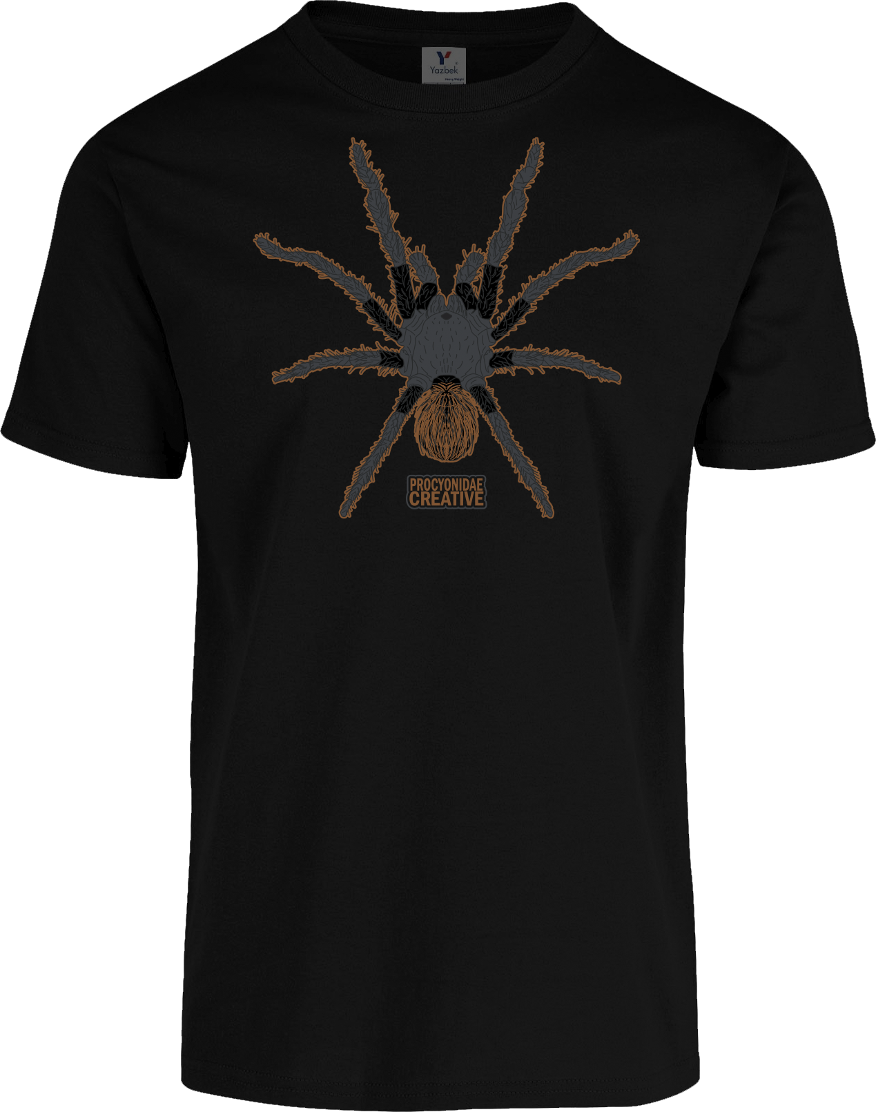 Tarántula del Pedregal  