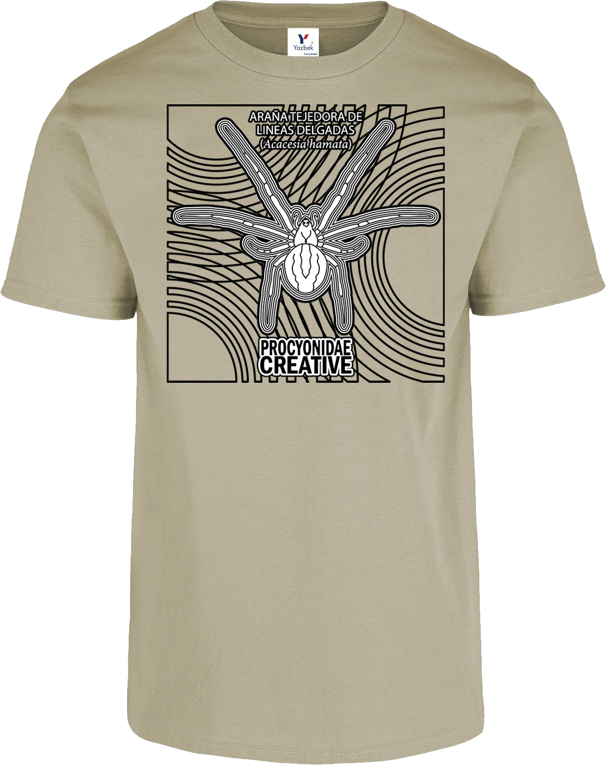 Araña Tejedora de Lineas Delgadas