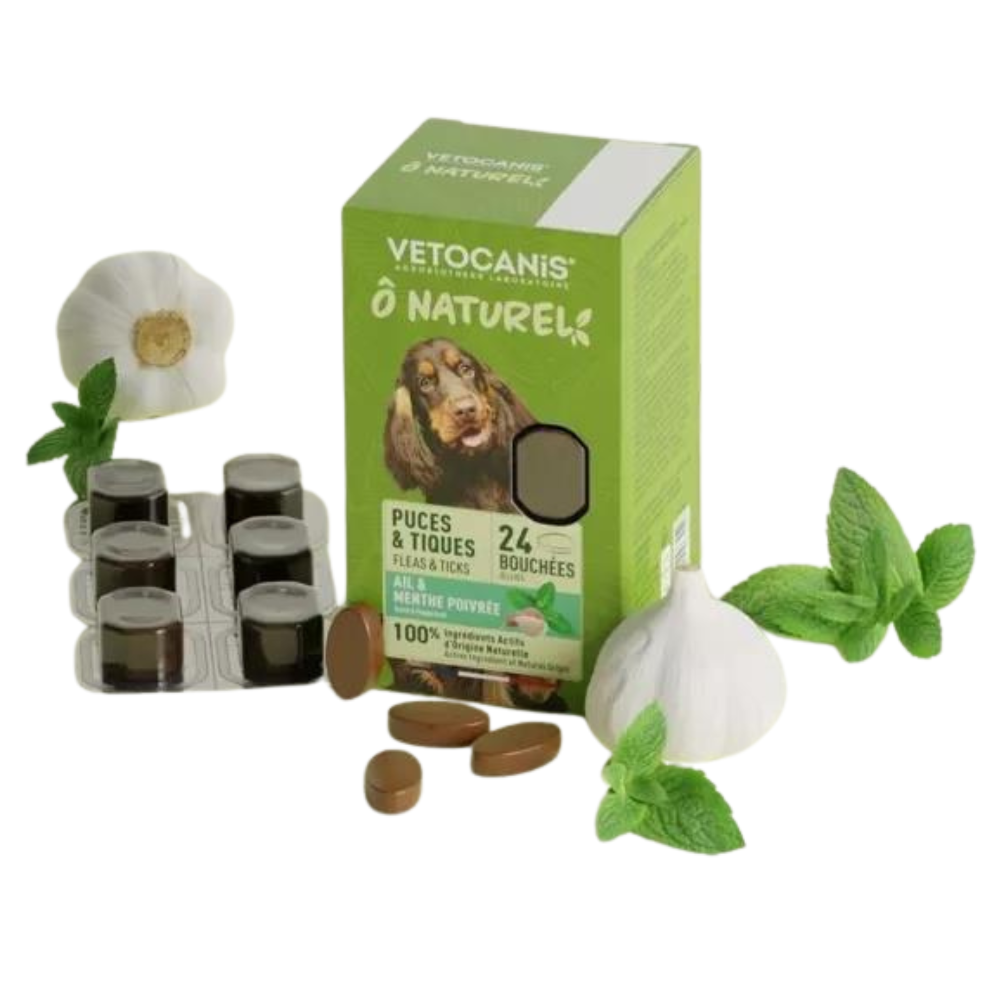 Friandise antiparasitaire