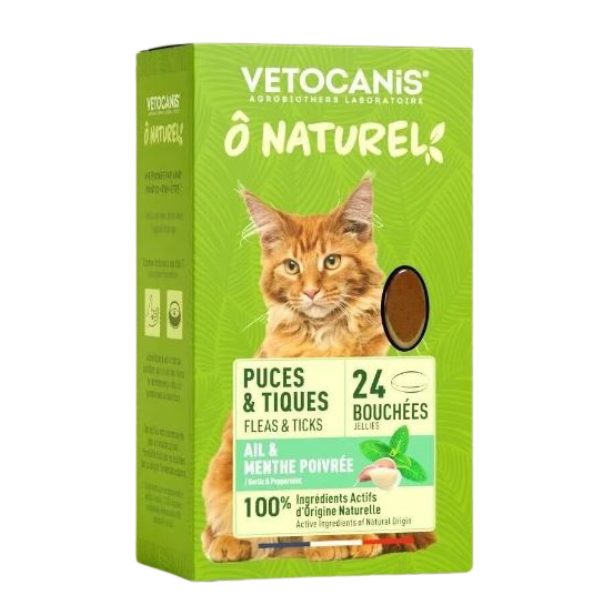 Friandise antiparasitaire