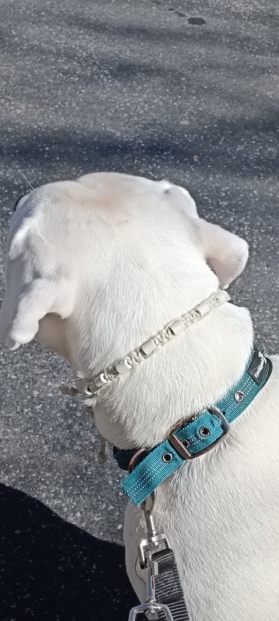 Collier en corde tressée avec perles EM