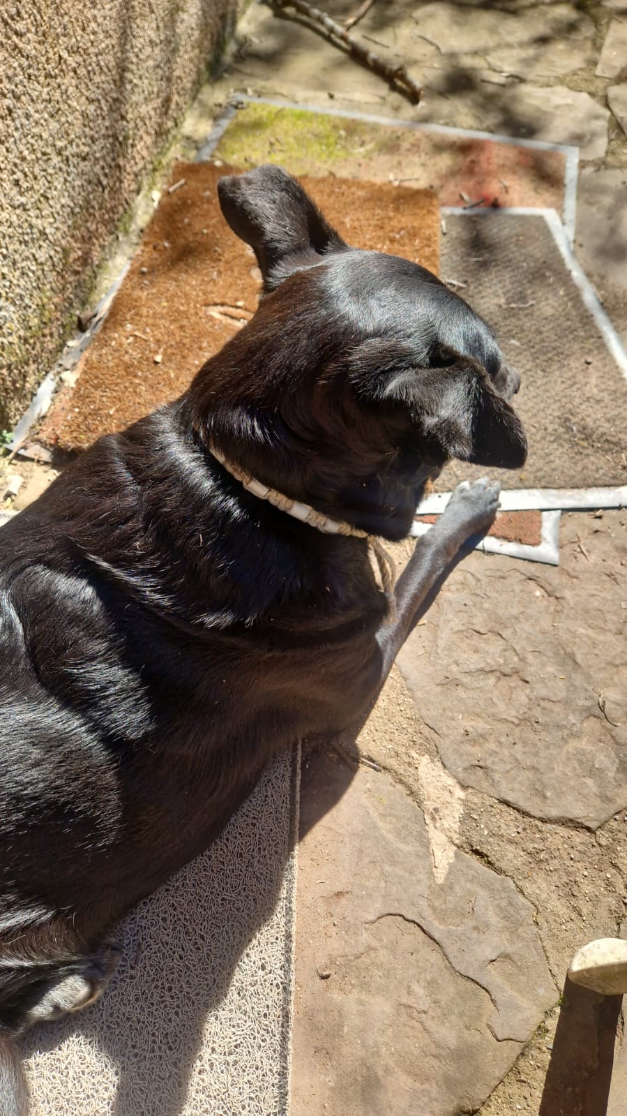 Collier en corde tressée avec perles EM