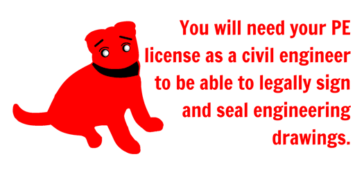 Professional Engineer [Digital Image]