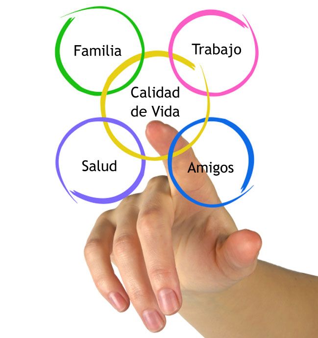 Libro de salud.