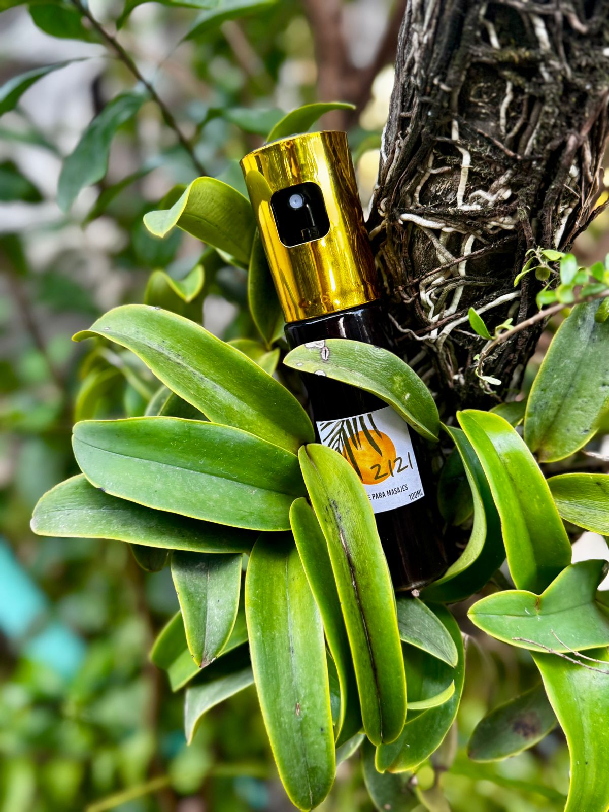 Aceite Integral de cannabis