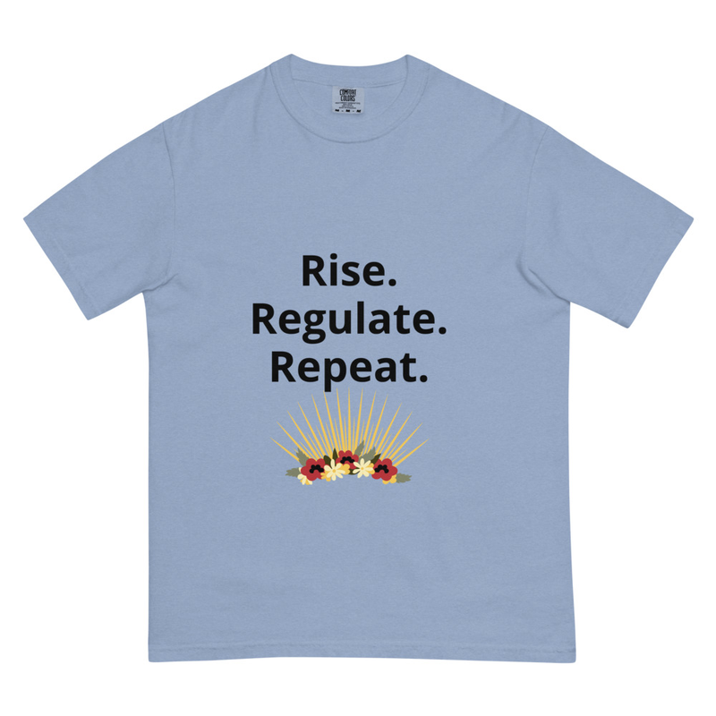 Rise. Regulate. Repeat-Unisex garment-dyed heavyweight t-shirt