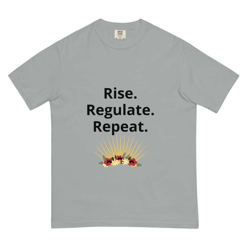 Rise. Regulate. Repeat-Unisex garment-dyed heavyweight t-shirt