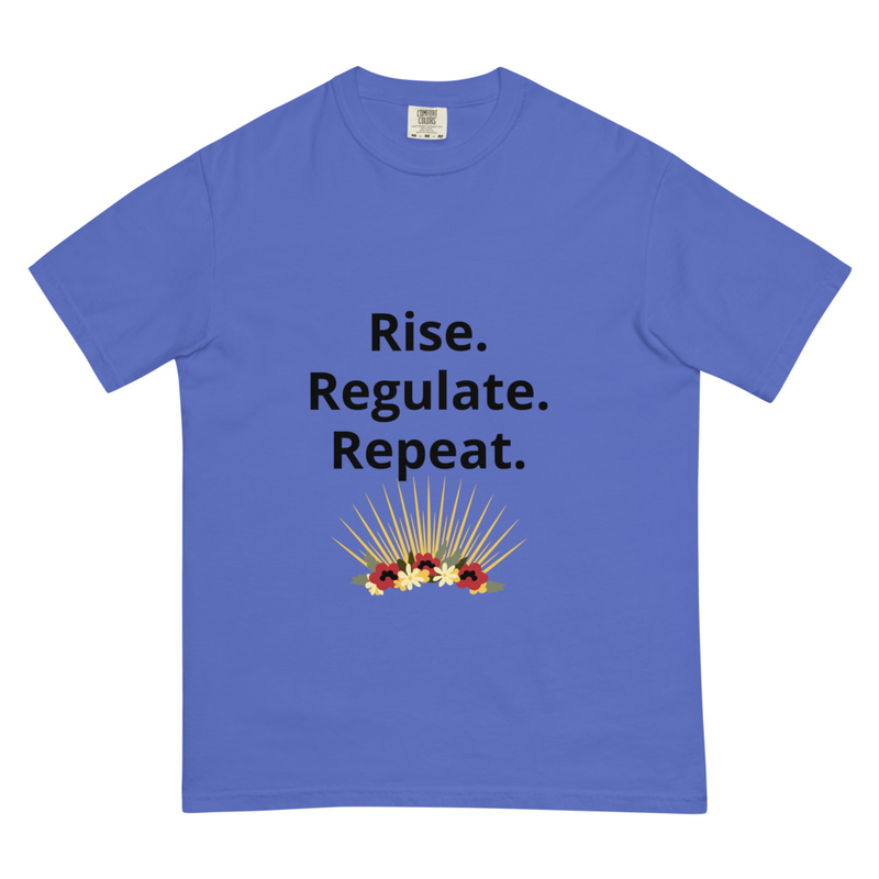 Rise. Regulate. Repeat-Unisex garment-dyed heavyweight t-shirt