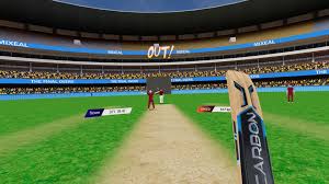VR cricket 2 Over 