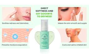 Dermal Cica & Ceramide Brightening & Wrinkle Serum