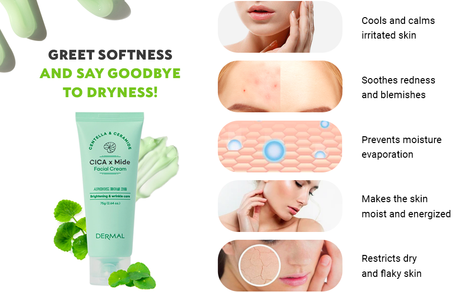 Dermal Cica x Mide Facial Brightening & Wrinkle Care Cream