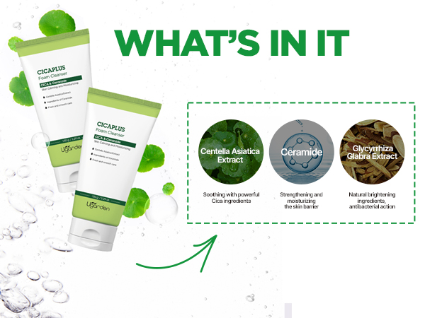 Ugarden Cicaplus Foam Cleanser