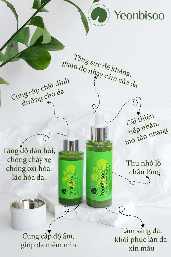 Yeonbisoo The One Treatment Essence