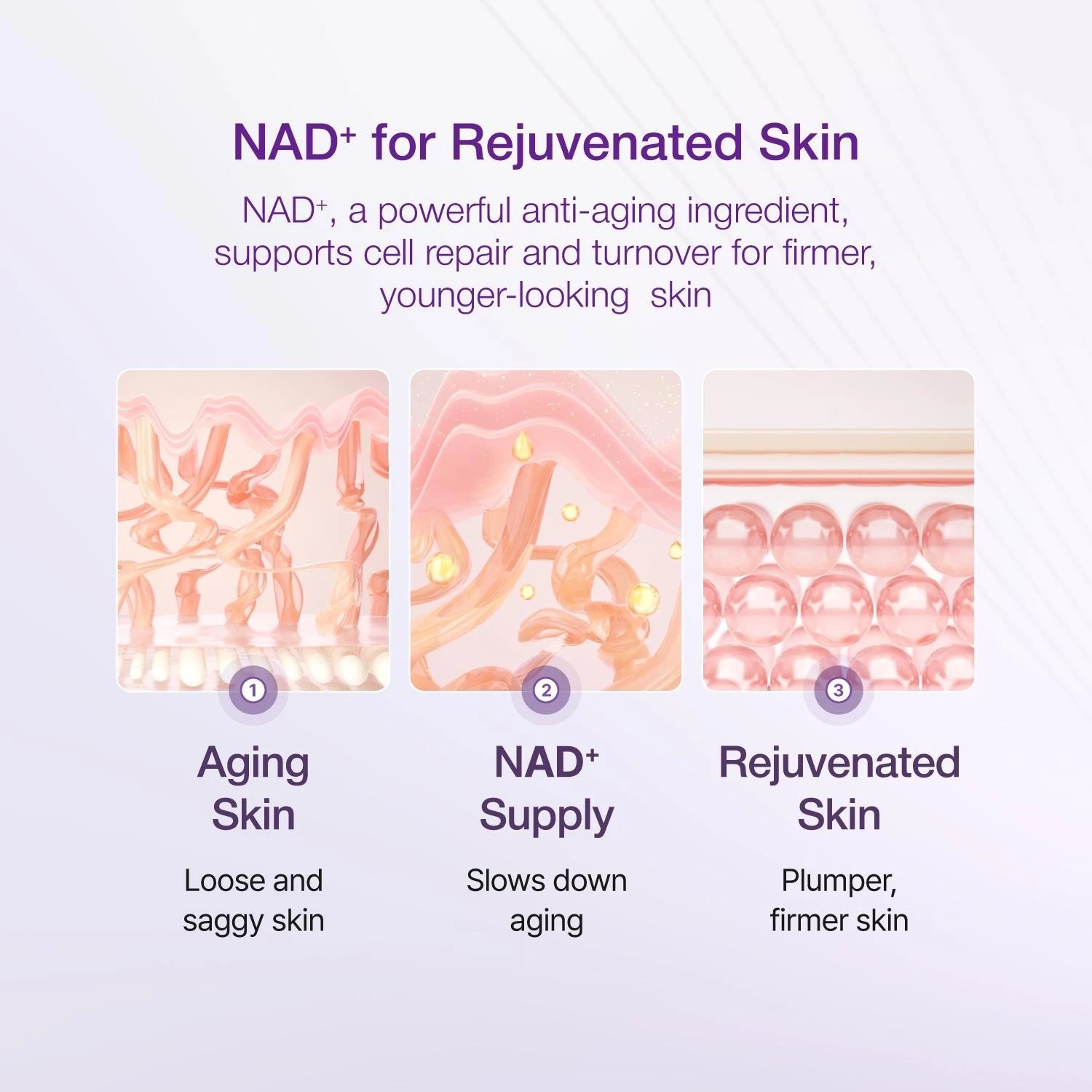 NUMBUZIN No.9 NAD+ Bio Lifting-sil Essence 50ml