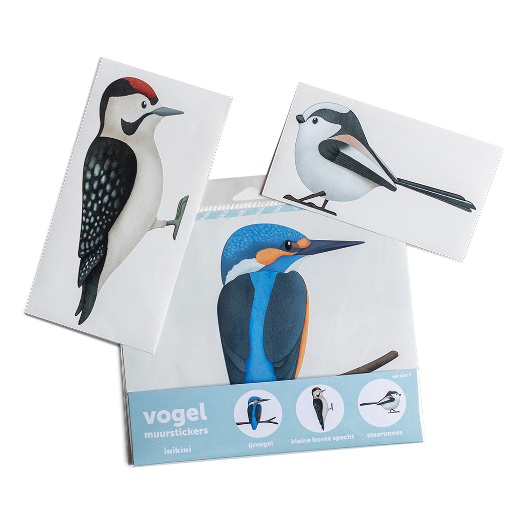 Vogel muurstickers (set van 3)