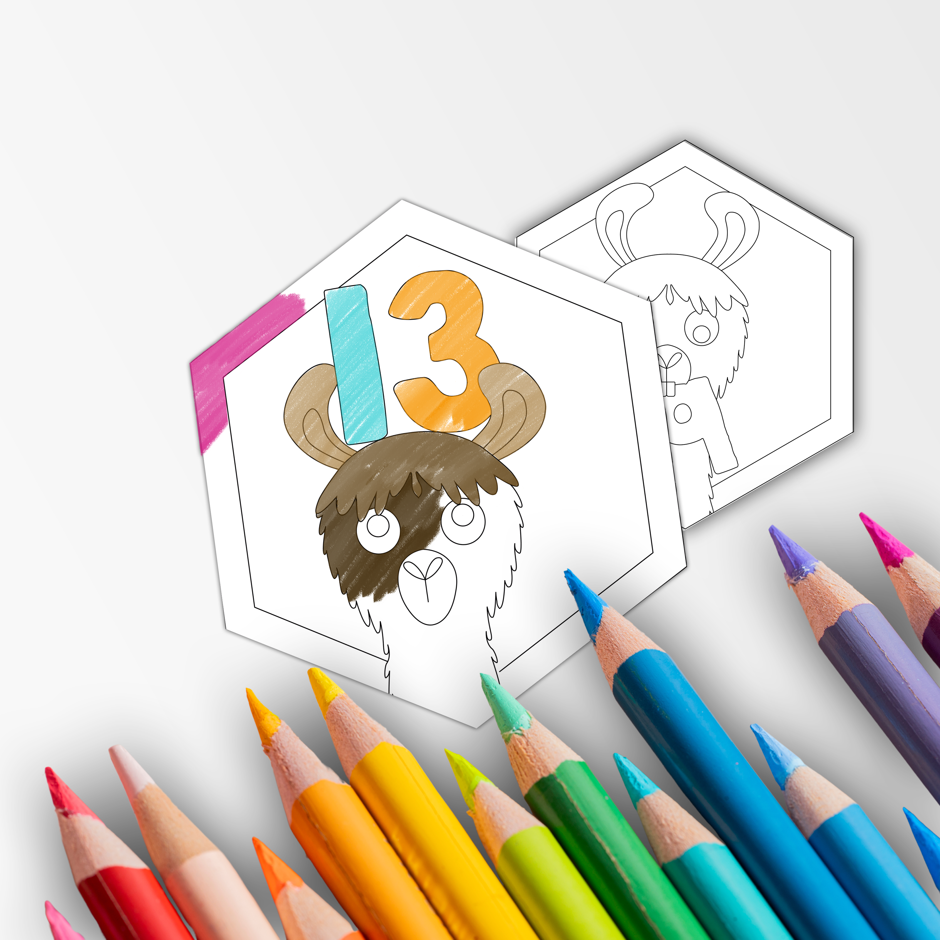 Lama - Kleurrijke klasnummers