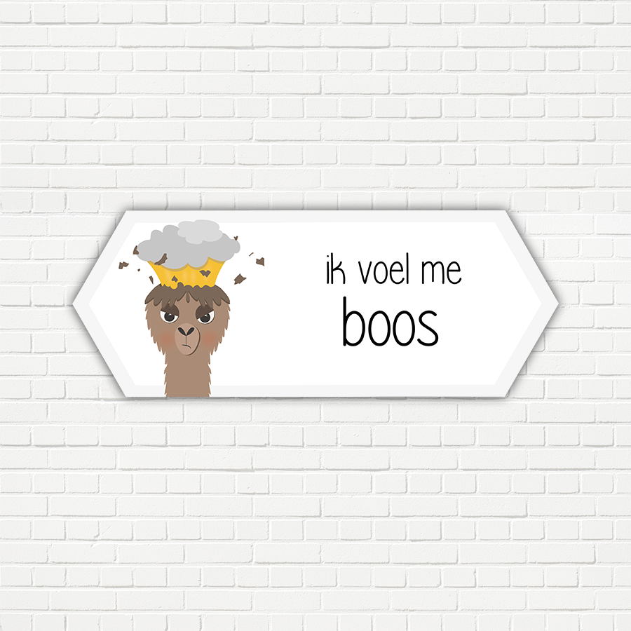 Lama - Gevoelsmeterpakket 