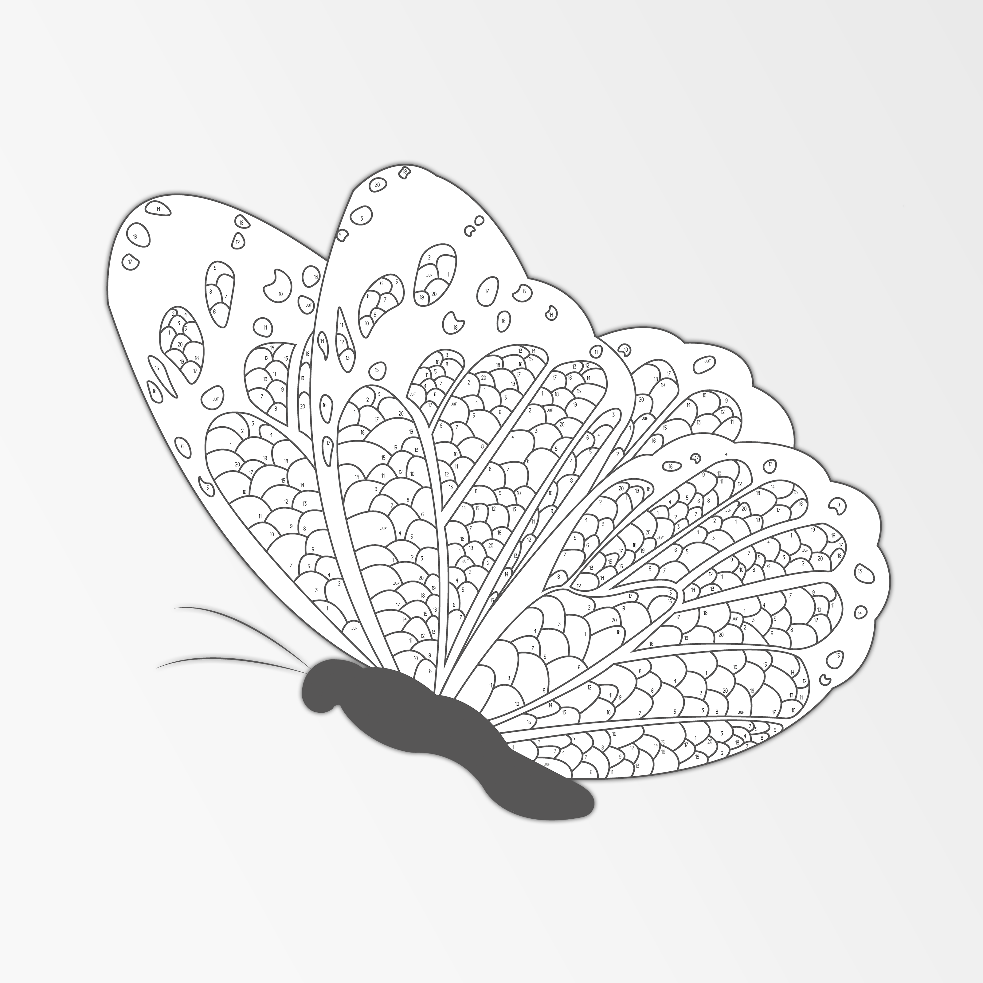 Lama - Leesmotivatiepakket