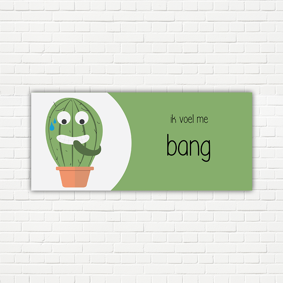 Cactus - Gevoelsmeterpakket 